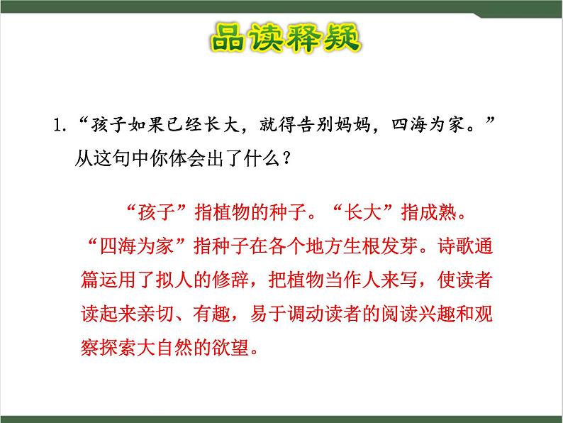 3《植物妈妈有办法》课件06