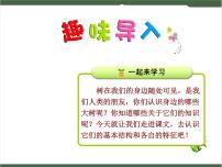 小学语文人教部编版二年级上册2 树之歌优秀ppt课件