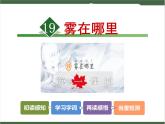 19《雾在哪里》课件