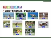 《语文园地八》课件