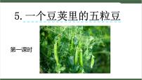 小学语文人教部编版四年级上册5 一个豆荚里的五粒豆优秀课件ppt