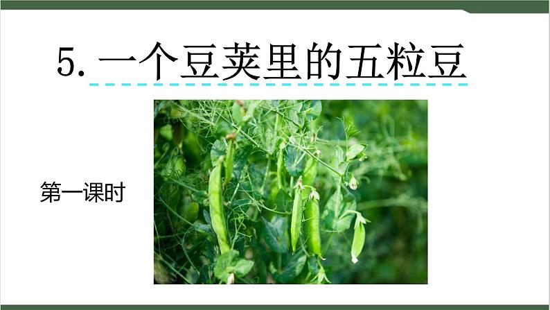 5《一个豆荚里的五粒豆》课件01