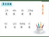 5《一个豆荚里的五粒豆》课件