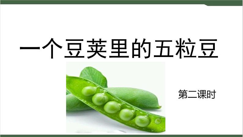 5《一个豆荚里的五粒豆》课件04