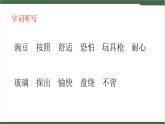 5《一个豆荚里的五粒豆》课件