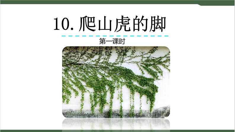 10《爬山虎的脚》课件01