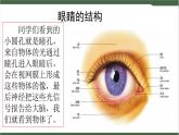 《口語(yǔ)交際：愛(ài)護(hù)眼睛，保護(hù)視力》課件