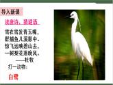 1《白鹭》课件
