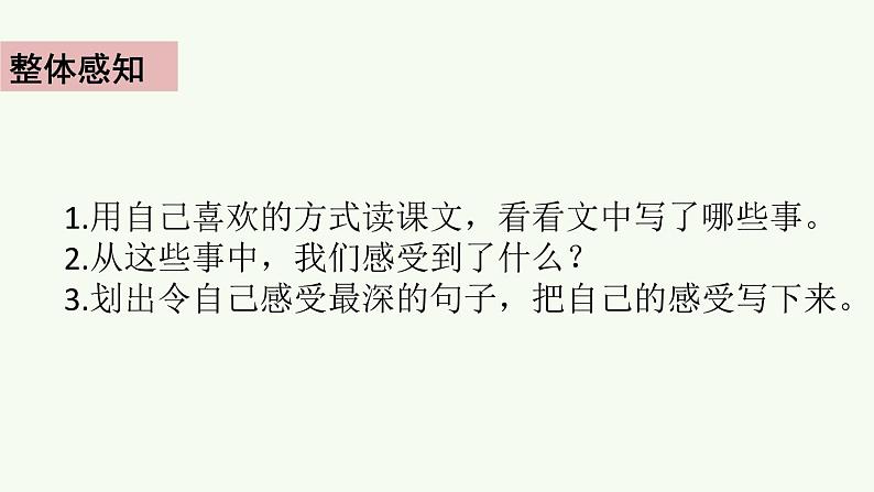 19《父爱之舟》课件06