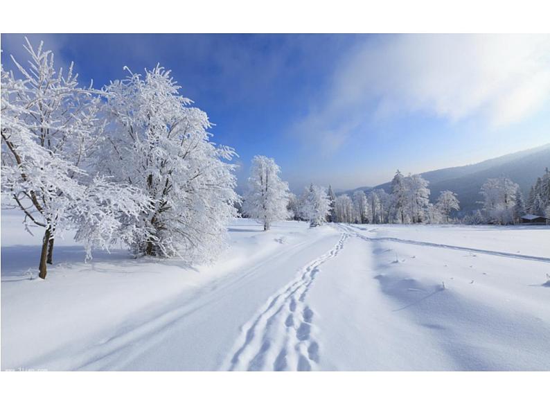 一年级上册语文课件《雪地里的小画家》部编版第3页