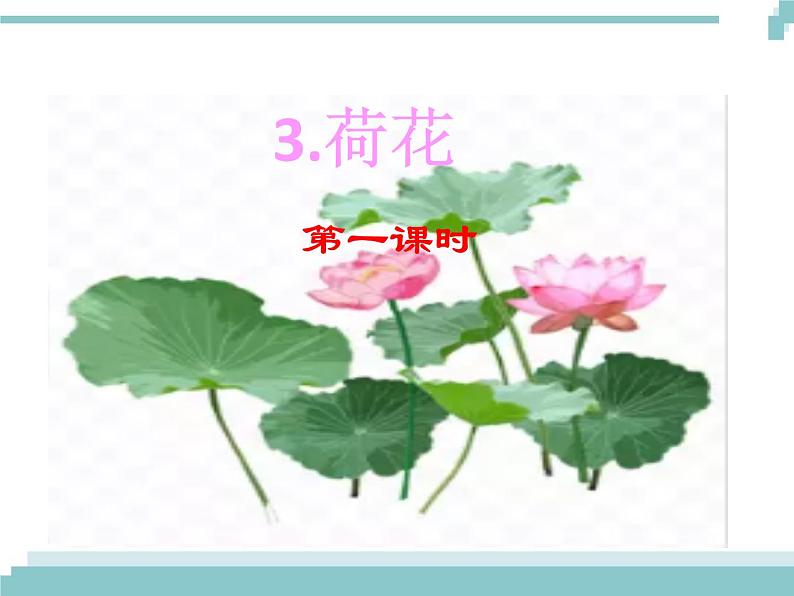 3 《荷花》课件01