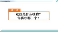 小学语文习作：我的植物朋友获奖课件ppt