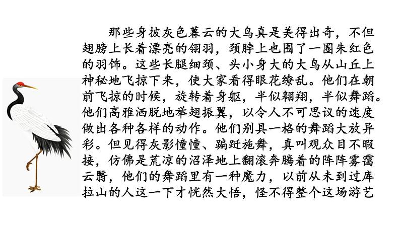 6 《骑鹅旅行记（节选）》课件01