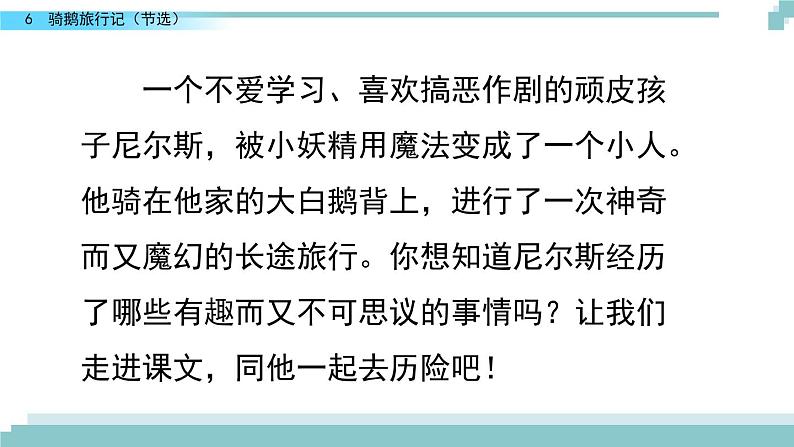 6 《骑鹅旅行记（节选）》课件02