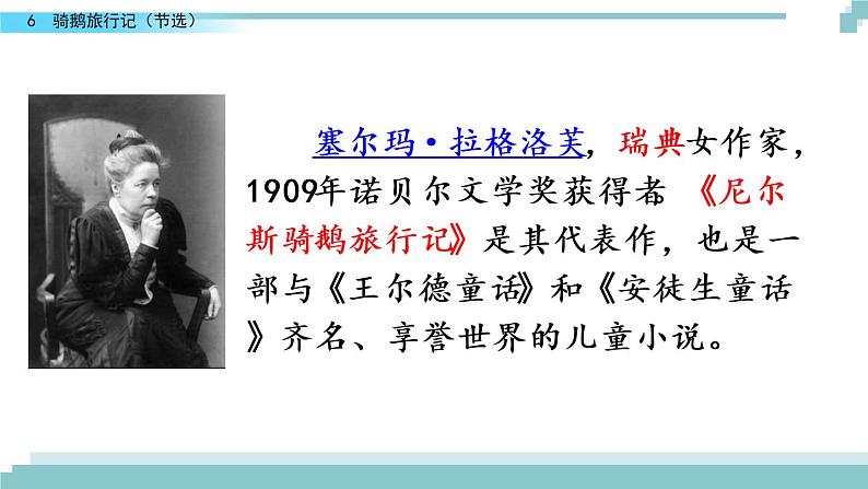 6 《骑鹅旅行记（节选）》课件04