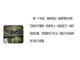 13《桥》第一课时课件