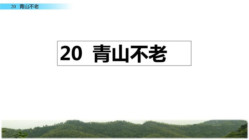 20《青山不老》课件02