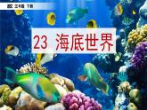 23《 海底世界》课件+素材