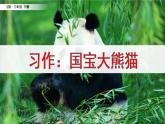 《习作：国宝大熊猫》课件