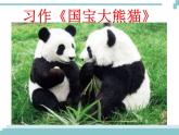 《习作：国宝大熊猫》课件