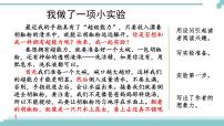 小学语文人教部编版三年级下册习作：我做了一项小实验图文免费ppt课件