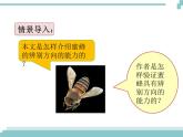 14 《蜜蜂》课件