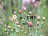 第2课《祖父的园子》课件