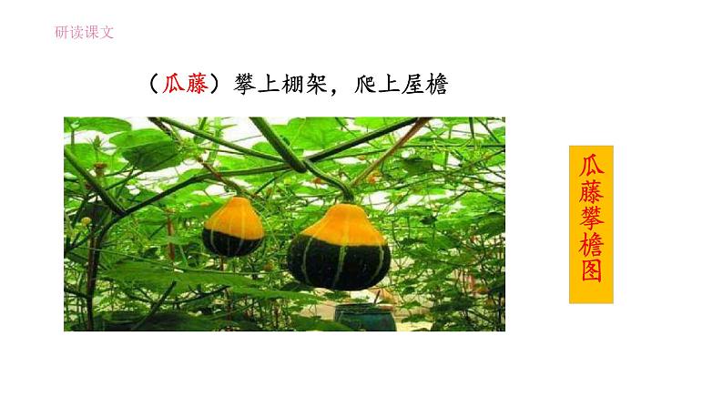 2《乡下人家》（第2课时）课件05