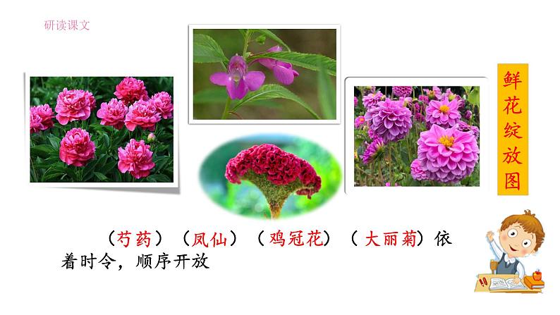 2《乡下人家》（第2课时）课件06