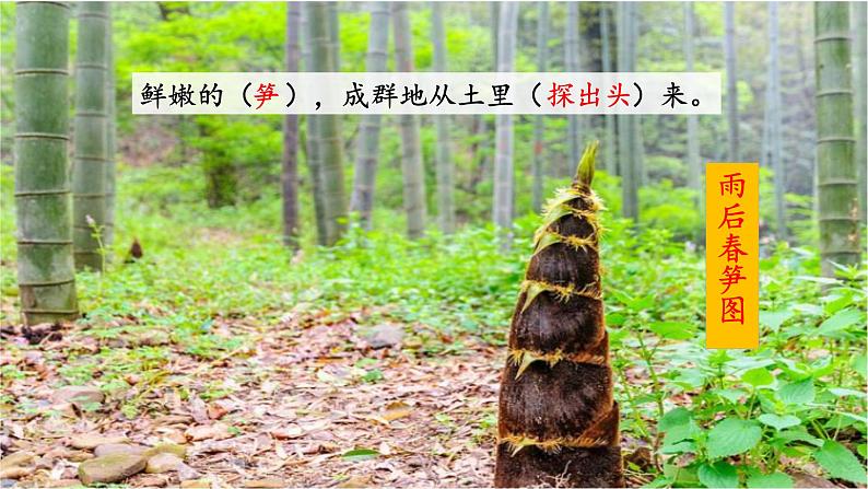 2《乡下人家》（第2课时）课件07