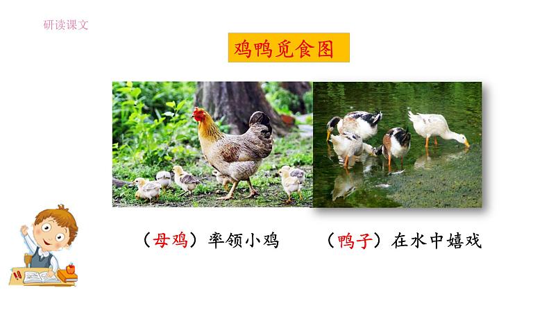 2《乡下人家》（第2课时）课件08