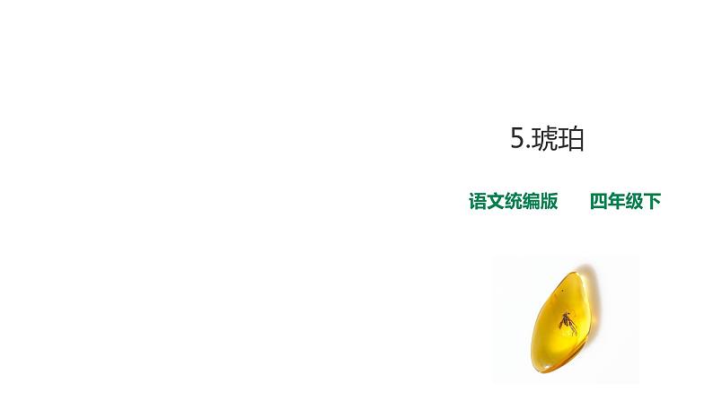 5《琥珀》第2课时 课件01