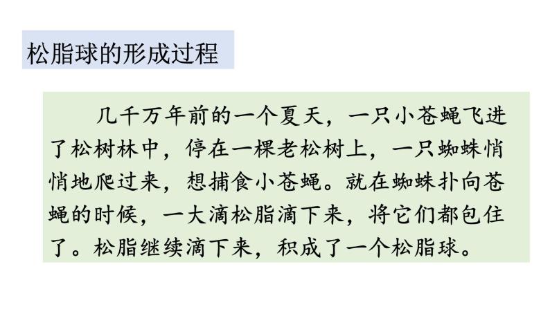 小學語文人教部編版四年級下冊5琥珀背景圖課件ppt