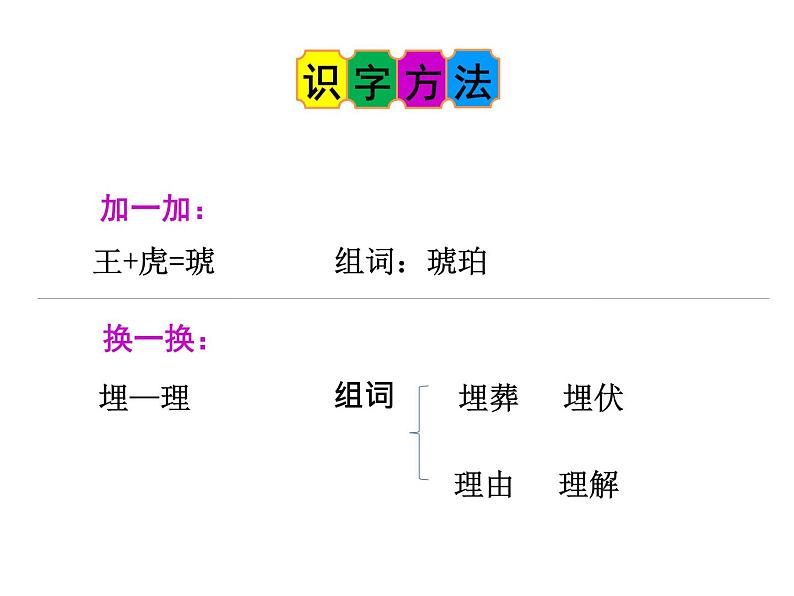 5《琥珀》第一课时 课件07