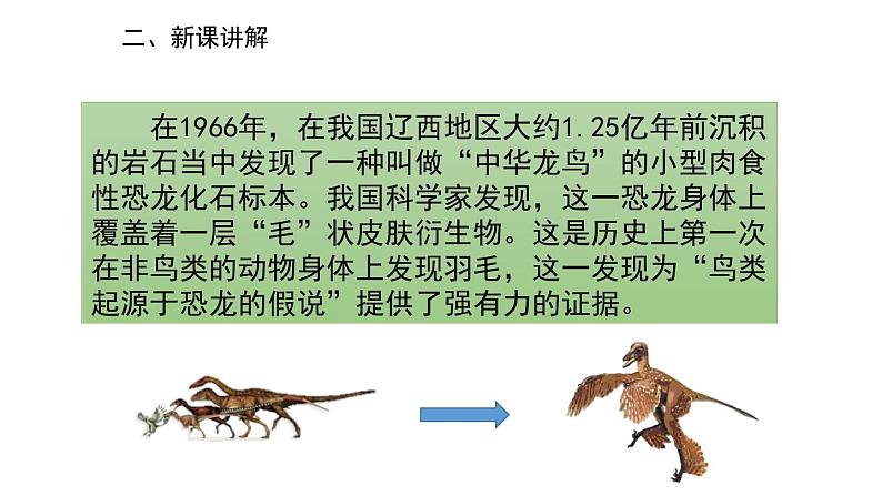 6《飞向蓝天的恐龙》课件07