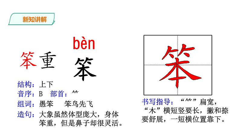 6.《飞向蓝天的恐龙》课件06