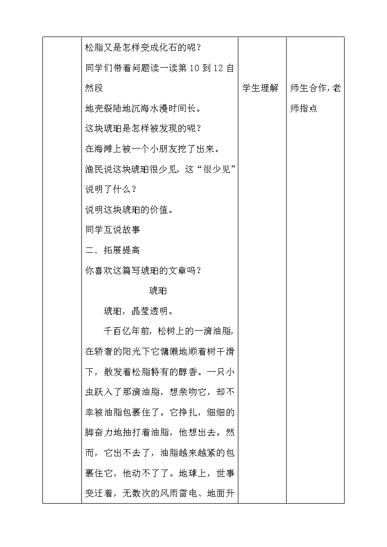 5《琥珀》第二课时 教案03