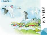 部编版语文六年级下册：6.《骑鹅旅行记（节选）》PPT课件