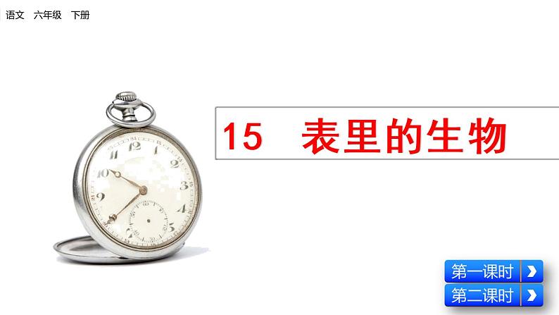 部编版语文六年级下册：15《表里的生物》PPT课件01