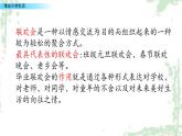 部編版語文六年級下冊：5《聯(lián)歡會策劃書》PPT課件