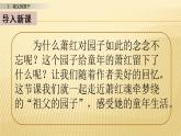 2 祖父的园子 第一课时 课件