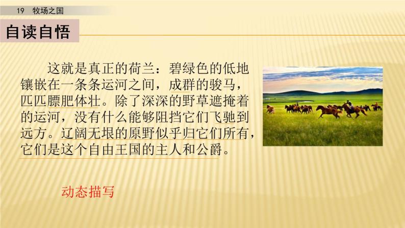 小学语文人教部编版五年级下册19 牧场之国课文配套ppt课件