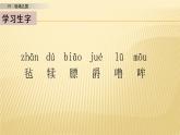 19 牧场之国 第一课时 课件