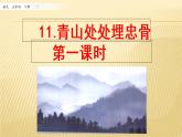 11 青山处处埋忠骨 第一课时 课件