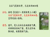 4、《梅花魂》素材链接2：自在飞花轻似梦，无边丝雨细如愁 课件