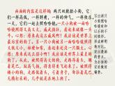 第八单元、范文2： 两只小狗 课件