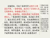 第八单元、范文2： 两只小狗 课件