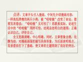 第八单元、范文2： 两只小狗 课件