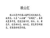 17.《记金华的双龙洞》素材链接2：映山红 课件