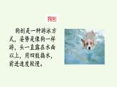 18.《小英雄雨来（节选）》素材链接1：狗刨 课件